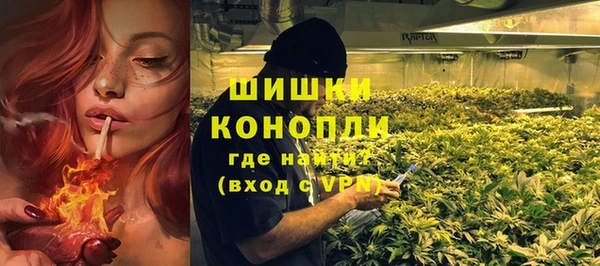 метадон Елизово