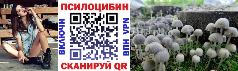 Галлюциногенные грибы Psilocybe  Купить где  Избербаш 
